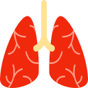 lung Icon