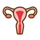ovary Icon