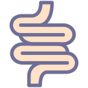 digestive tract Icon