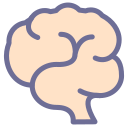 Head, brain Icon
