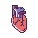 HEART Icon