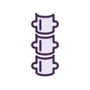SPINE Icon