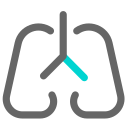 Respiratory department Icon