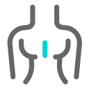Thoracic Surgery Icon