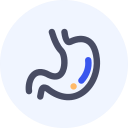 Digestive department Icon