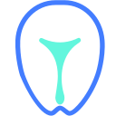 uterus Icon
