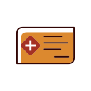 Medical insurance card Icon