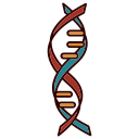 Medicine -DNA Icon