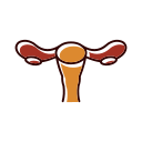 Medicine - uterus Icon