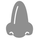 Rhinology - rhinitis Icon
