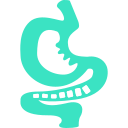 Gastrointestinal digestion Icon
