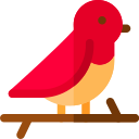 066-bird Icon
