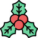 Christmas plants Icon