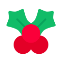 Christmas - fruit Icon