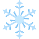 Snowflake fillet Icon