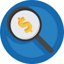 1_magnifier-money Icon