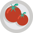 1_tomatoes Icon