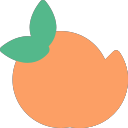 020-orange Icon