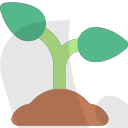 047-sprout Icon