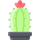 cactus Icon