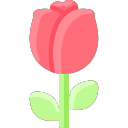 rose (1) Icon