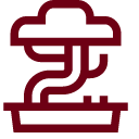 bonsai Icon
