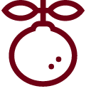 orange Icon