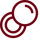 paste Icon