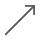 24gl-arrowRu Icon