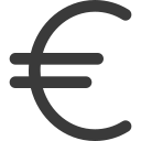 19 Euro Icon