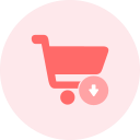 Shopping cart order Icon