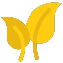 leaf Icon