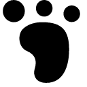 02 incoming tracking Icon