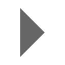 triangle-right Icon