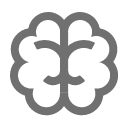 human brain Icon