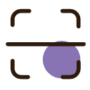 scanning Icon