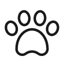 animal Icon