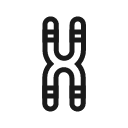 chromosome Icon