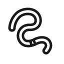 earthworm Icon