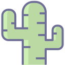 cactus Icon