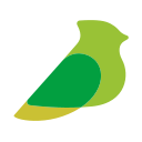 Language bird Icon