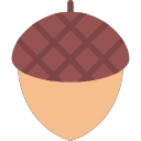 acorn Icon