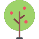 apple tree Icon