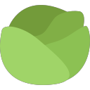 cabbage 1 Icon