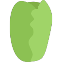 cabbage 2 Icon