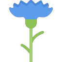 cornflower Icon