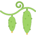 cucumbers Icon