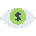 money vision Icon