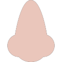 nose Icon