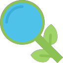organic search Icon